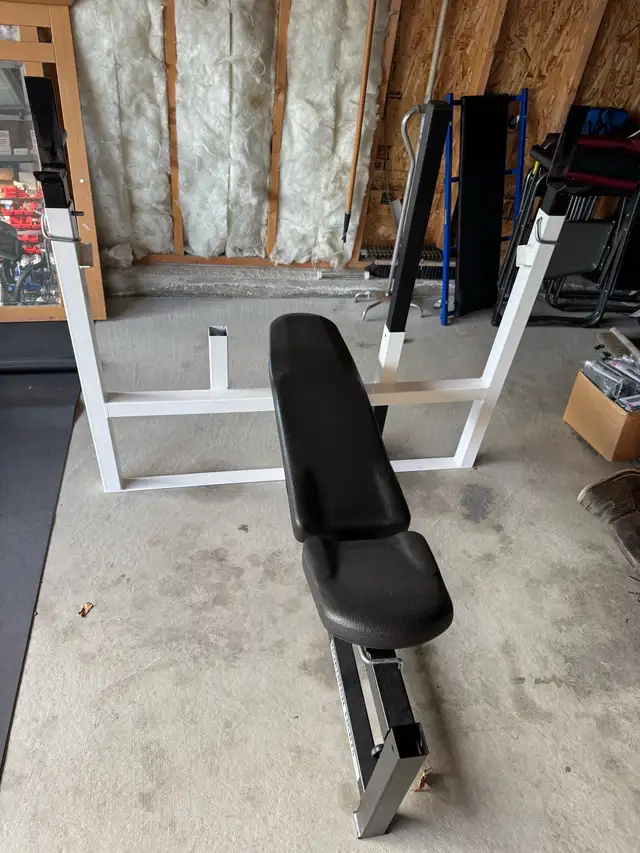 Northern Lights Weight Bench