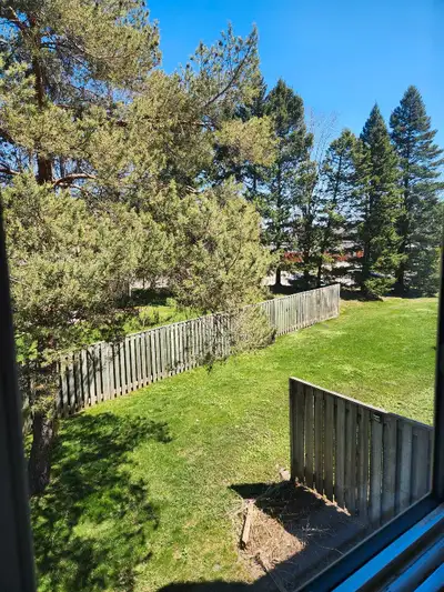 ROOM FOR RENT/HOUSE TO SHARE