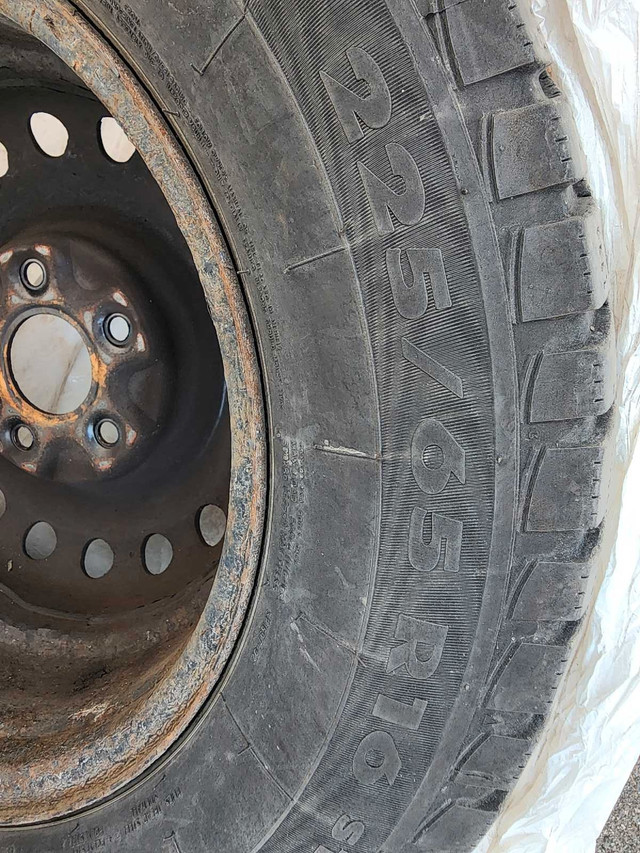 225/65/16 Winter tires on rims. in Tires & Rims in Mississauga / Peel Region - Image 3