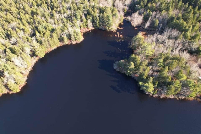 Waterfront Lake Lot 119,500.00 0B0 in Land for Sale in Bridgewater - Image 2