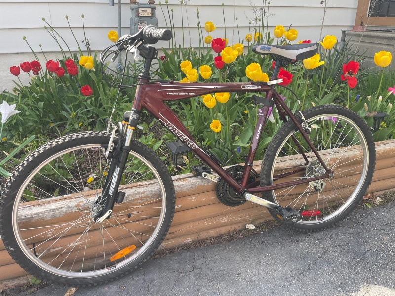 Raleigh Matterhorn mountain bike Other Hamilton Kijiji