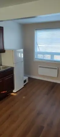 B/S - Newly Renovated Bachelor Suites (Campbellton/McLeods)