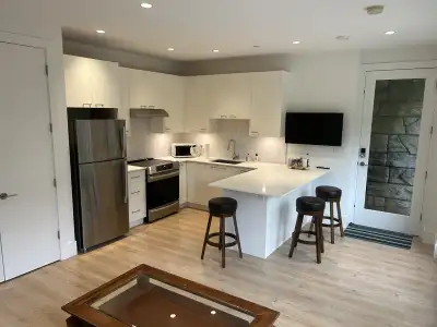 This new (4 years old), modern, and fully furnished main-level suite offers both complete privacy an...