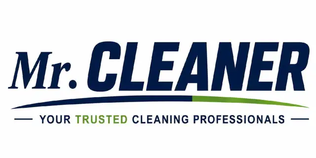 Professional Cleaners 