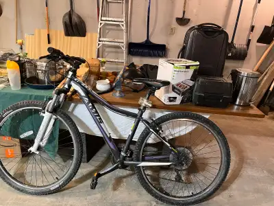 Many items from bike(ladies) to elliptical exercise machine; plus Christmas decorations, puppy toys,...