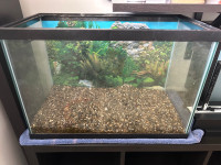 The 20-gallon fish tank really complete kit