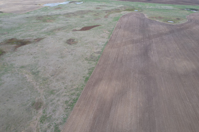 Yard Land For Sale