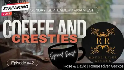 Crested Gecko Podcast "Coffee & Cresties", View more