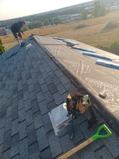 Stump Grinding/Roofing, View more