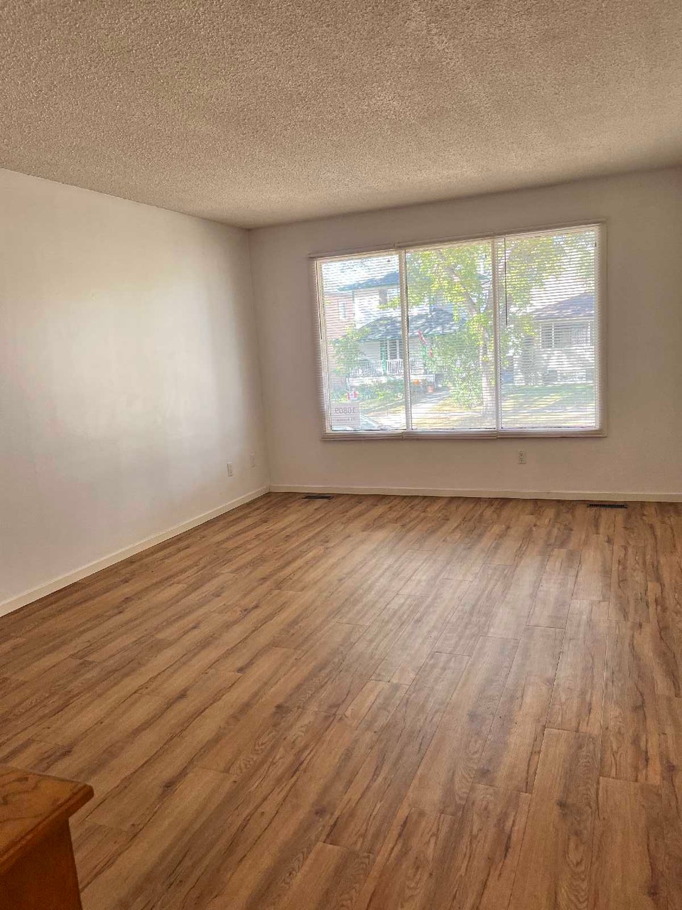Very close to UofA, Scona, Whyte Ave, Shops, Bus, Short ride DT 5
