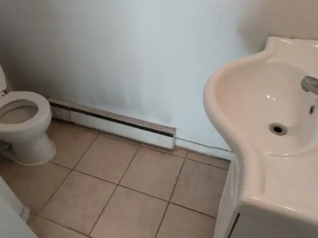 Private Room for Rent in North York On in Room Rentals & Roommates in City of Toronto - Image 10