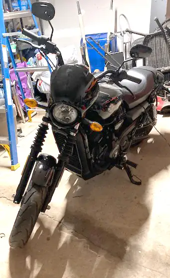 2015 Harley-Davidson Street 500 cc in Street, Cruisers & Choppers in Gatineau - Image 6
