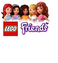 Lego FRIENDS 8 sets collection groupe 1