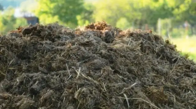 Free Horse manure.  Grand River.  Will load on your truck/traile in Free Stuff in Summerside - Image 2