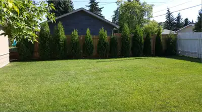 Dog Sitting - Days and/or Nights, View more