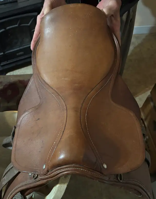 English Saddle in Equestrian & Livestock Accessories in Brantford - Image 2