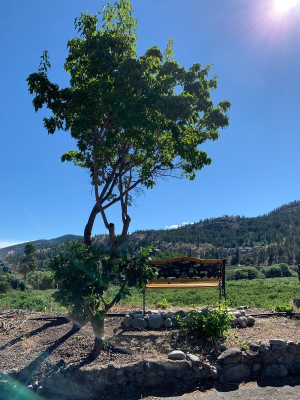 House for Rent in Summerland with orchard view. Long Term Rentals