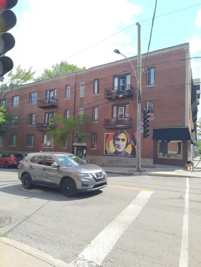 alexandre de seve int ;ontario, demi sous sol centre ville prest de tout renové électro inctel Mario...