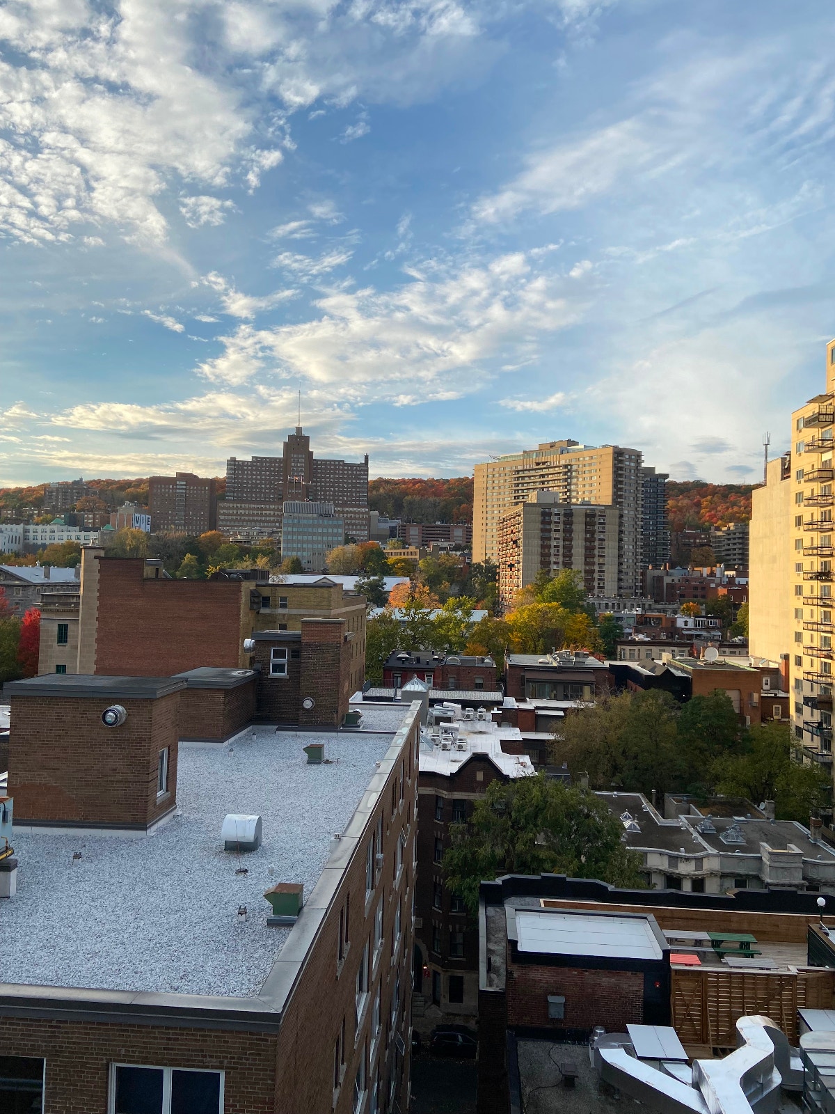 Studio Apartment 1-Minute Walk to Guy Concordia metro station — photo 2