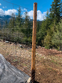 Cedar Poles / posts