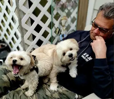 Dog Boarding Short and Long Term Dog Sitting, View more