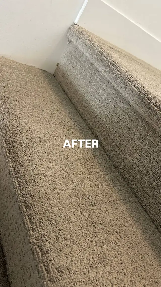 CARPET CLEANING by Cleaning Fairy 62863713230081122