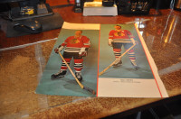 Perpectives colour nhl hockey photo 1967 bobby hull &  stan miki