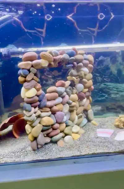 Custom River Rock Wall. About 12 Inch X12 Inch, View more
