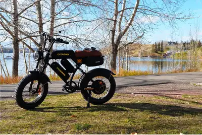 Modified Cycrown Cyrun 2000w 48v, View more