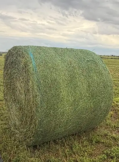 145 alfalfa/brome round bales Approx 1400 lbs - $80.00 each 100 wild hay bales Approx. 1400 lbs- $65...