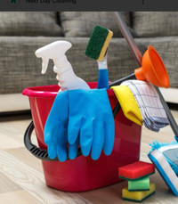 House Cleaning Availability (West End Ottawa)