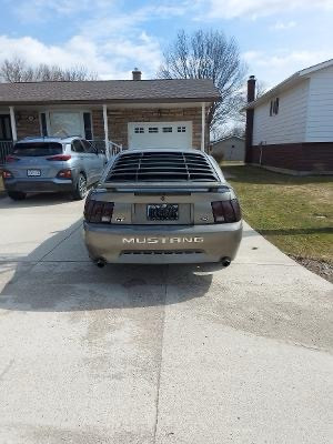 2001 MUSTANG GT V8 in Cars & Trucks in Owen Sound - Image 4