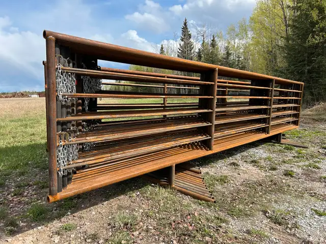 24’ livestock panels  in Livestock in Vanderhoof - Image 3