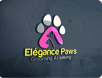 Dog Grooming Academy/School, View more
