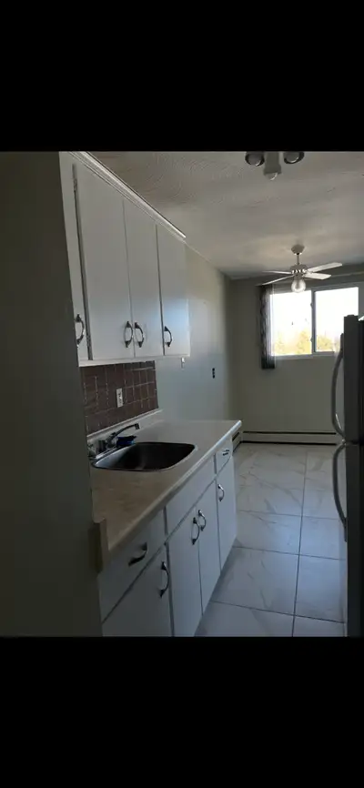 1 BEDROOM 1 BATHROOM APARTMENT  NEW HAMBURG