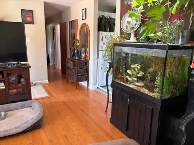room rental