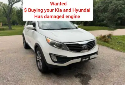 Buying $ Kia and Hyundai ( damaged or good )