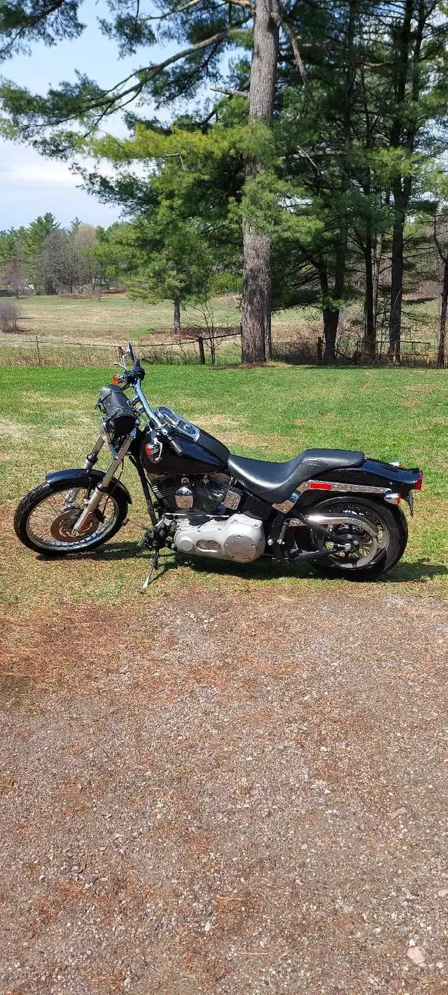 2005 fxst softail standard.price reduced,must go.screaming deal. in Street, Cruisers & Choppers in Gatineau - Image 4
