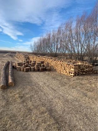 Firewood/ Free Delivery 