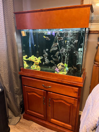 Aquarium fish tank 30-35 gallon