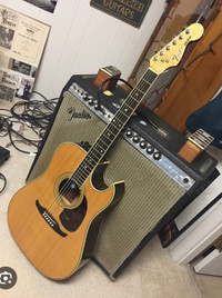 WANTED - Fender Balboa