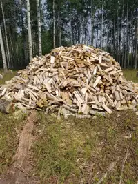 Firewood Poplar (seasoned) 
