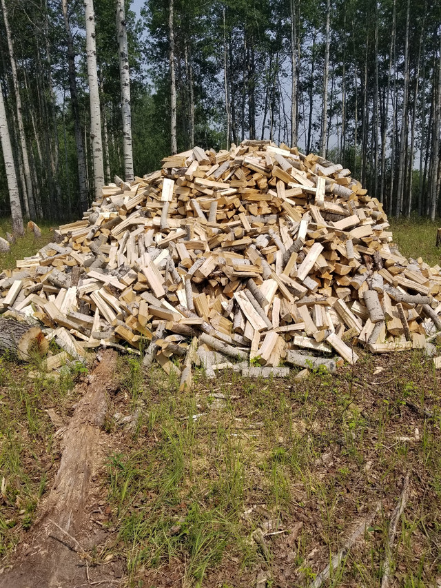 Firewood Poplar (seasoned)  in Other in Dawson Creek