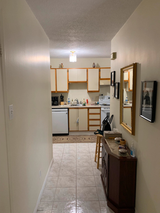 Huge 3 bedrooms ground floor, grand 5 1/2, Gatineau Rez-de-chau in Long Term Rentals in Gatineau - Image 4