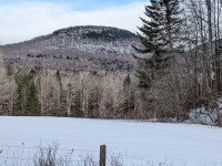 FLANC DE MONTAGNE A VENDRE