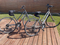 2 Trek bikes with car bike rack
