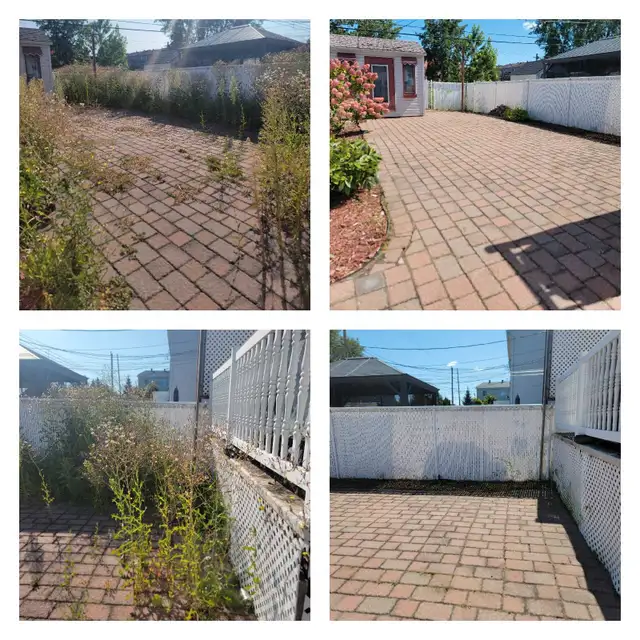 Pressure cleaning ☆ Grounds maintenance ☆ Debris collection62864355606146123