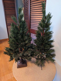 Small Decor trees