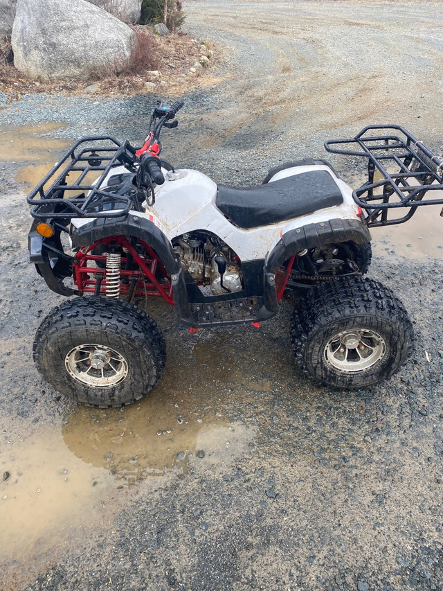 Tao Tao grizzly 110cc in ATVs in Cole Harbour - Image 2