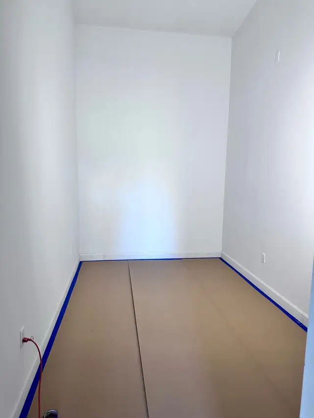 Professional Painter63654774555907122